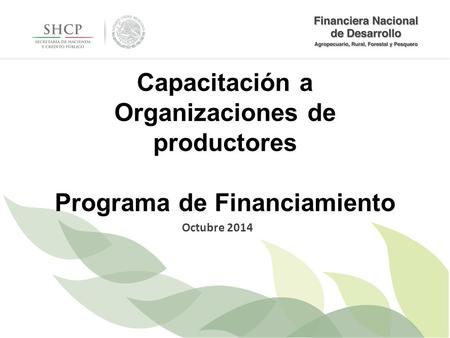Capacitación a Organizaciones de productores Programa de Financiamiento Octubre 2014.