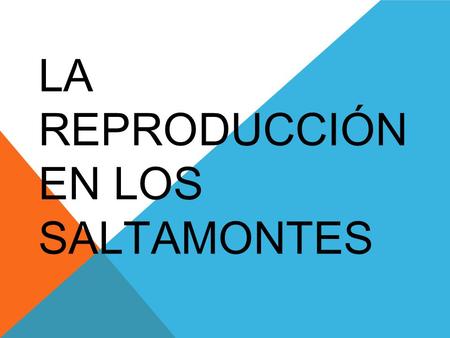 LA REPRODUCCIÓN EN LOS SALTAMONTES