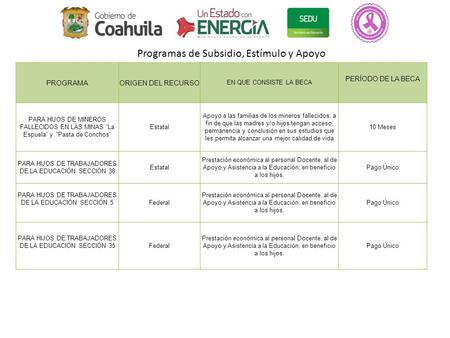 PROGRAMAORIGEN DEL RECURSO EN QUE CONSISTE LA BECA PERÍODO DE LA BECA PARA HIJOS DE MINEROS FALLECIDOS EN LAS MINAS “La Espuela” y “Pasta de Conchos” Estatal.