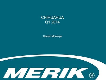 CHIHUAHUA Q1 2014 Hector Montoya. Participación Análisis de participación Representante% Suc. Nuevo León49 Suc. Aguascalientes15 Suc. San Luis Potosí14.
