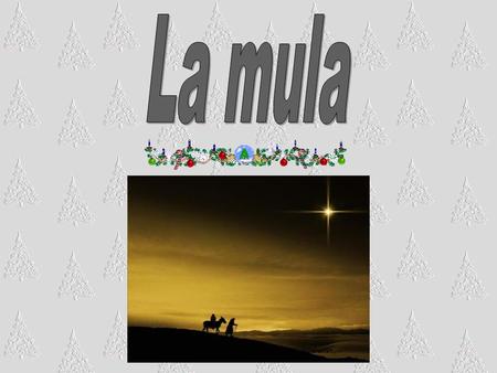 La mula.