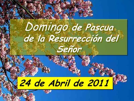 Domingo de Pascua de la Resurrección del Señor Domingo de Pascua de la Resurrección del Señor 24 de Abril de 2011.