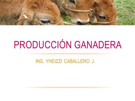 ING. YHEIZZI CABALLERO J.