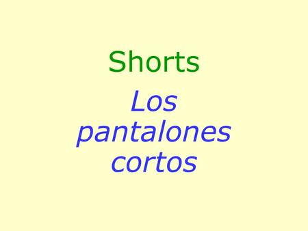 Shorts Los pantalones cortos. New Nuevo Blouse La blusa.