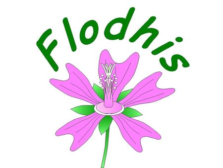 Flora Didáctica Hispalense (Flodhis)