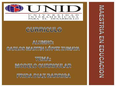 Licenciada en Psicología por la Universidad Nacional Autónoma de México (UNAM, 1979), maestra en Psicología Educativa (1984) y doctora en Pedagogía (1998),