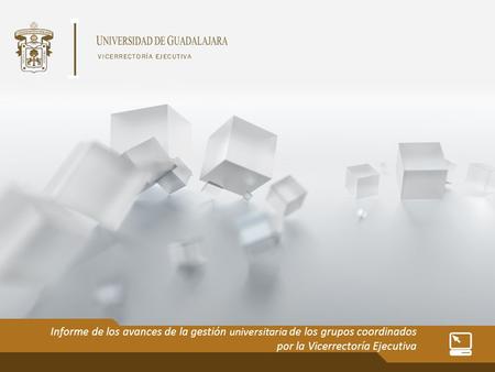 Informe de los avances de la gestión universitaria de los grupos coordinados por la Vicerrectoría Ejecutiva.