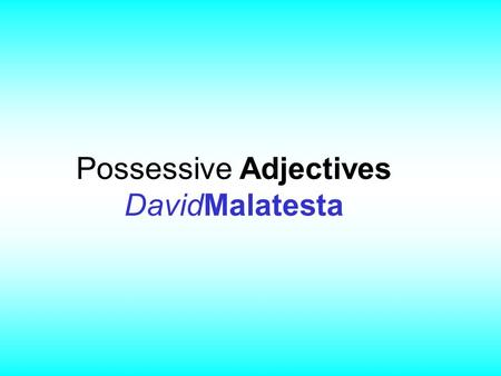 Possessive Adjectives DavidMalatesta