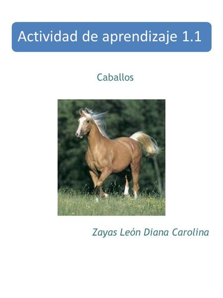 Actividad de aprendizaje 1.1