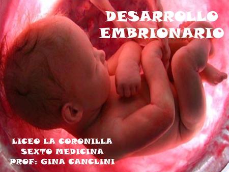 DESARROLLO EMBRIONARIO