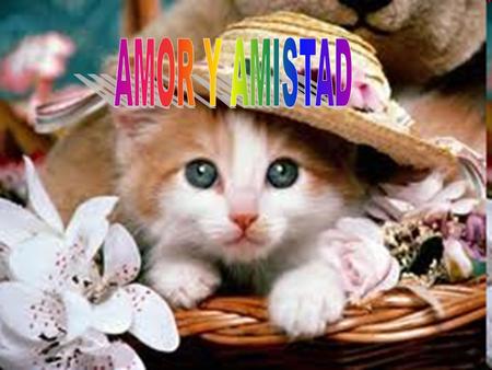 AMOR Y AMISTAD.