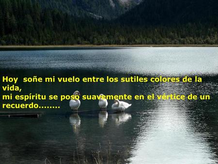 Hoy soñe mi vuelo entre los sutiles colores de la vida, mi espíritu se poso suavemente en el vértice de un recuerdo........