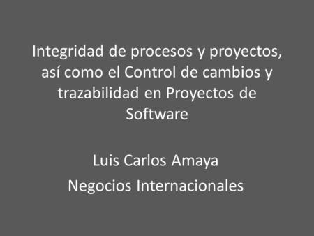 Luis Carlos Amaya Negocios Internacionales