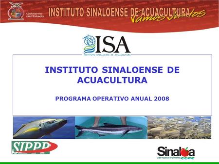 Sistema Integral de Planeación, Programación y Presupuestación del Gasto Público Proceso para el Ejercicio Fiscal del año 2005 INSTITUTO SINALOENSE DE.