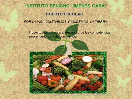 INSTITUTO BENIGNO JIMENES GARAY