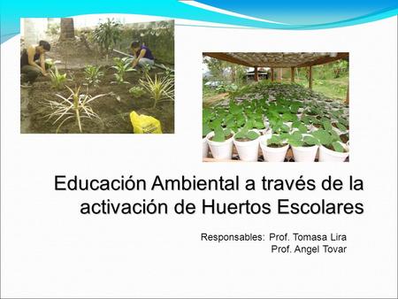 Educación Ambiental a través de la activación de Huertos Escolares Responsables: Prof. Tomasa Lira Prof. Angel Tovar.