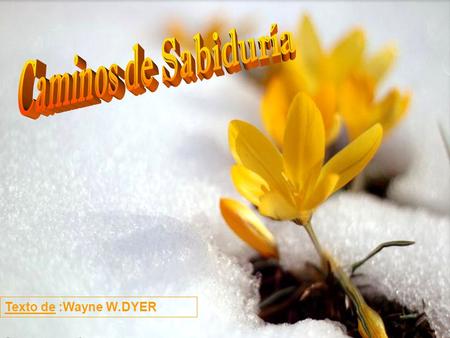 Texto de :Wayne W.DYER Cuando aprendas a considerar tu vida y cuanto hay en ella como el milagro que es, comprenderás enseguida que quejarse es desperdiciar.