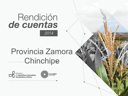 Provincia Zamora Chinchipe. Rupturas Democratización del acceso a los factores de producción Ampliar, diversificar e innovar los servicios técnicos rurales.