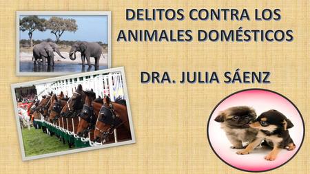 DELITOS CONTRA LOS ANIMALES DOMÉSTICOS DRA. JULIA SÁENZ.