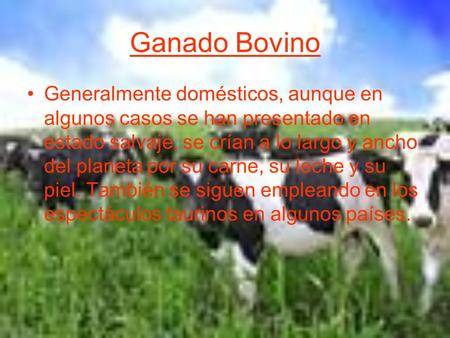 Ganado Bovino Generalmente domésticos, aunque en algunos casos se han presentado en estado salvaje, se crían a lo largo y ancho del planeta por su carne,