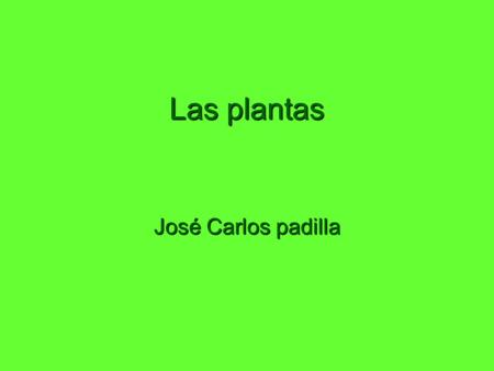 Las plantas José Carlos padilla.