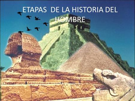 ETAPAS DE LA HISTORIA DEL HOMBRE