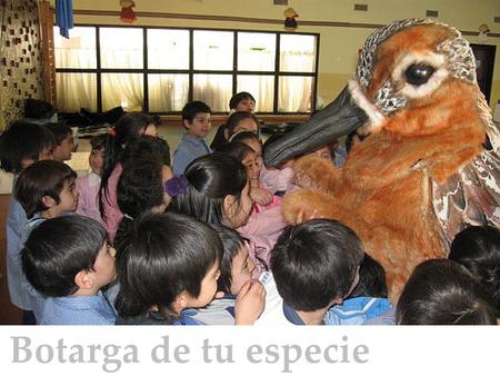 Botarga de tu especie bandera.
