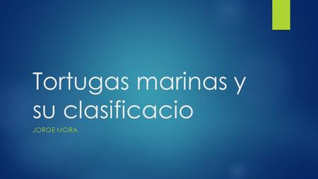 Tortugas marinas y su clasificacio