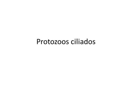 Protozoos ciliados.