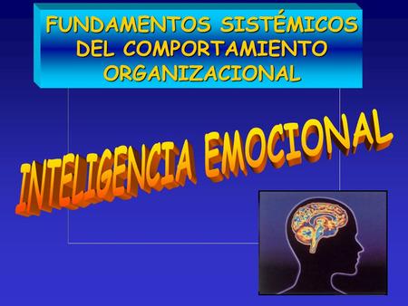 FUNDAMENTOS SISTÉMICOS INTELIGENCIA EMOCIONAL