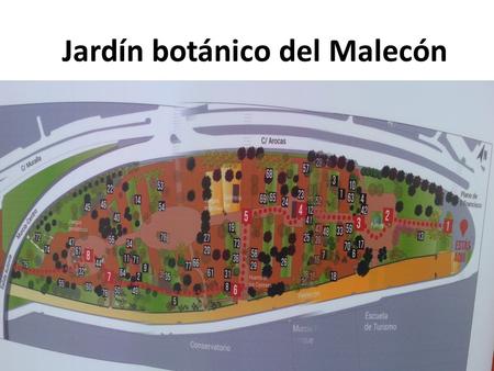 Jardín botánico del Malecón