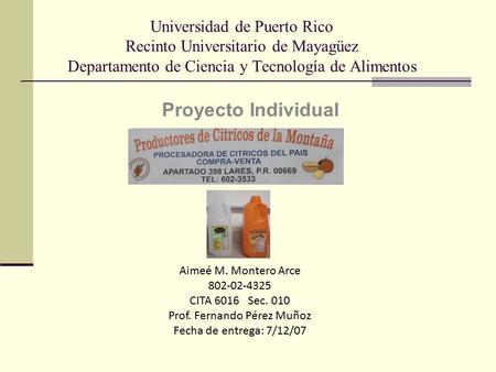 Prof. Fernando Pérez Muñoz