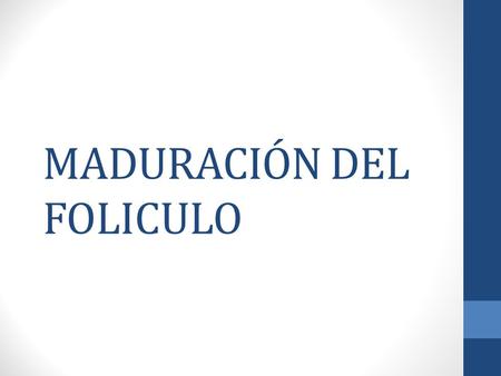 MADURACIÓN DEL FOLICULO