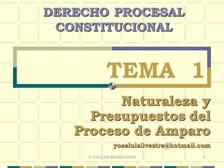 © Jose Luis Silvestre 2009 TEMA 1 Naturaleza y Presupuestos del Proceso de Amparo DERECHO PROCESAL CONSTITUCIONAL 1.