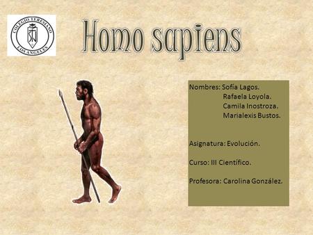 Homo sapiens Nombres: Sofía Lagos. Rafaela Loyola. Camila Inostroza.