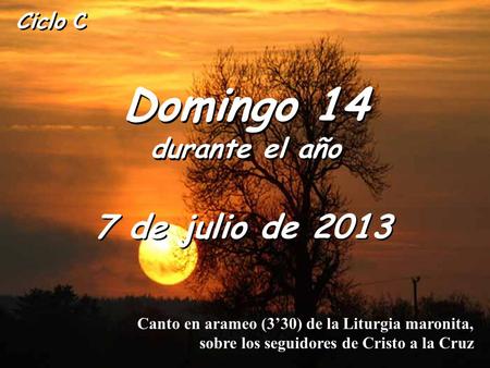 Domingo 14 durante el año 7 de julio de 2013