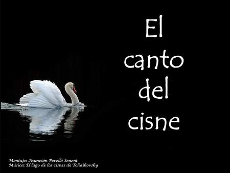 Montaje: Asunción Perelló Senent Música: El lago de los cisnes de Tchaikovsky.