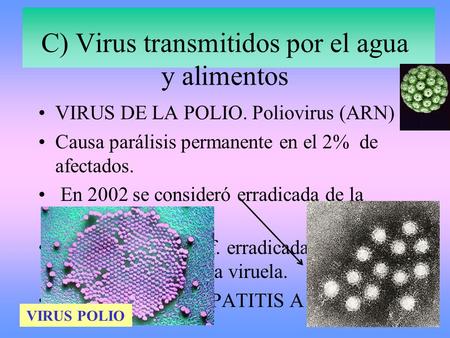 C) Virus transmitidos por el agua y alimentos