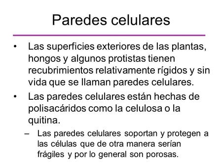 Paredes celulares Las superficies exteriores de las plantas, hongos y algunos protistas tienen recubrimientos relativamente rígidos y sin vida que se llaman.