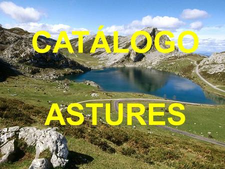 CATÁLOGO ASTURES.