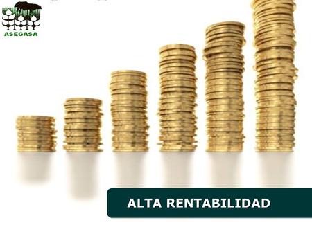 ALTA RENTABILIDAD. 2 SEGUROS ALTA RENTABILIDAD Seguro de vida ahorro a prima única. Garantía de rentabilidad. Cobro de la prestación en un plazo determinado.