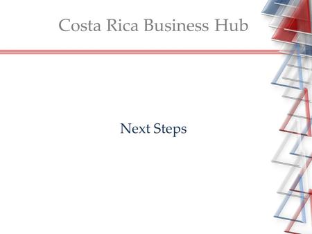 Next Steps Costa Rica Business Hub. Durante los próximos 3 meses debemos realizar las siguientes tareas 1.Designar un coordinador del Grupo 2.Decidir.