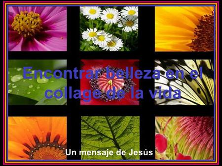 HAZ CLIC PARA AVANZAR ♫ Enciende los parlantes Encontrar belleza en el collage de la vida Un mensaje de Jesús.