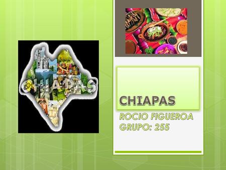 CHIAPAS ROCIO FIGUEROA GRUPO: 255.