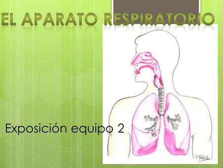 El Aparato Respiratorio