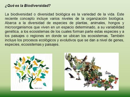 ¿Qué es la Biodiversidad?