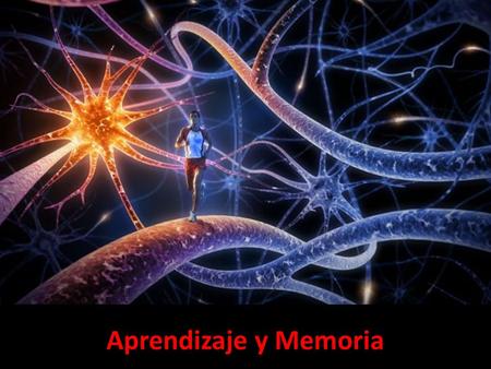 Aprendizaje y Memoria.