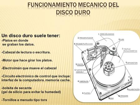 Un disco duro suele tener: -Platos en donde se graban los datos. -Cabezal de lectura o escritura. -Motor que hace girar los platos. -Electroimán que mueve.