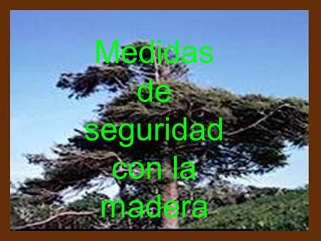 Medidas de seguridad con la madera