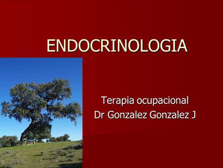 ENDOCRINOLOGIA Terapia ocupacional Dr Gonzalez Gonzalez J.